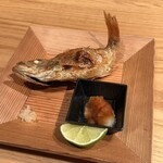 料理屋 かめ田 - 島根県産のどぐろ