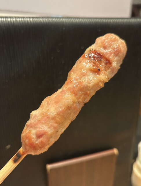 Yakitori no Kaiju photo 5