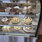 樹の海 - ショーケース