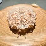 レスピラシオン - 