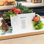 レスピラシオン - 