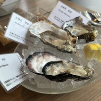 Oysterbar&Wine BELON 渋谷店 - 