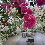 ユートピアファーム宮古島 - 