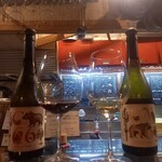 フェニコッテロ - 