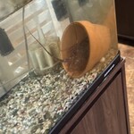 ビストロ セレニテ - 