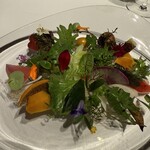 レフェルヴェソンス - 