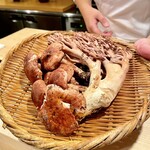 登喜和鮨 - サクラシメジ ホウキダケ