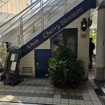 Curry&herb Cherry blossom - 