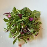 リストランテ ベリーニ - 