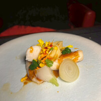 TRATTORIA CREATTA - 