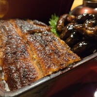 炭焼 うな富士 有楽町店 - 