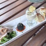 ハチトバーブ - 