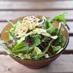 ハチトバーブ - 