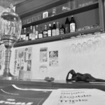 ハトス アウトサイド - 