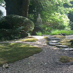 休耕庵 竹の庭の茶席 - 枯山水