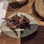 五常 - 干しほたるいか380円税込