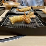 323269678 - 