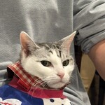 Karuizawa Hotel Soyokaze - Let's Have a Meal Together