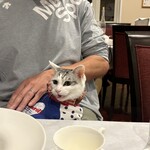 軽井沢ホテルそよかぜ - あたちのは！