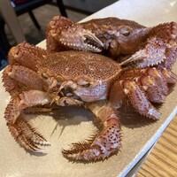 日比谷 蟹みつ - 