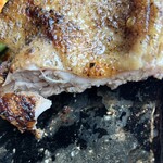 ハングリータイガー - 