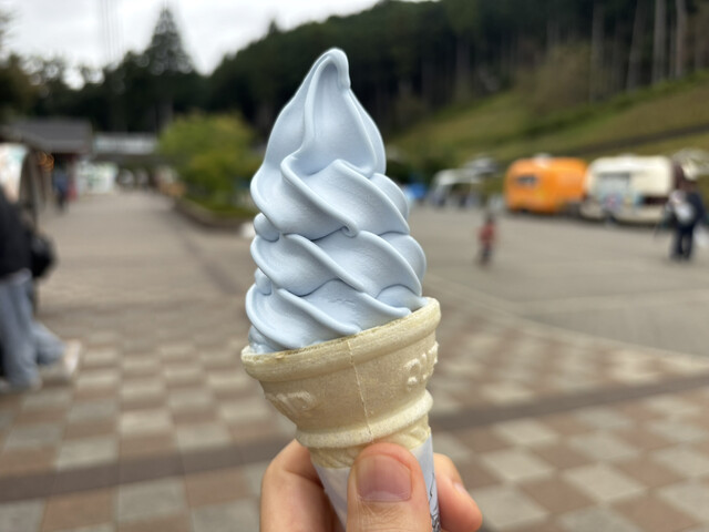 SKYWALK SOFTCREAM - Other areas in Mishima/Soft serve ice cream