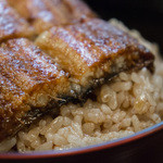 いづもや 船場 - 上定食のうなぎ丼