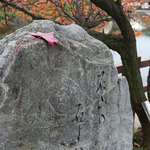 Chuukasobamarutoya - 店舗周辺風景（水門川と四季の路）奥の細道むすびの地