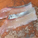 323280843 - ②歯鰹(熊本県天草産、1.2kg)
                        産卵は夏、旬は秋～冬、鰹とは別の魚で習性が異なり、近海の磯付近を回遊
                        身は薄い桃色で、本来はサッパリ系、この個体は小鰭等を沢山食べて脂のりが良く、旨みが極上
