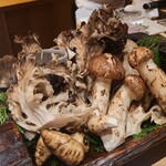 ぬま田 - 松茸、舞茸、根チャービル、新鮮な茸と根菜