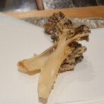 ぬま田 - ⑬舞茸(岩手県産)
      揚げ温度が高過ぎず、笠が軽くパリッ位の仕上がりが好み、軸にいくほど水分が増し旨みのあるジューシーさを楽しめました
      この辺り、匠の技術を感じます