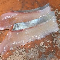ぬま田 - ②歯鰹(熊本県天草産、1.2kg)
                    産卵は夏、旬は秋～冬、鰹とは別の魚で習性が異なり、近海の磯付近を回遊
                    身は薄い桃色で、本来はサッパリ系、この個体は小鰭等を沢山食べて脂のりが良く、旨みが極上