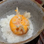 ぬま田 - ㉔卵黄天ぷらのTKG、追い車海老天かす載せ
      卵黄天ぷらの黄身を崩して最初のひと口、トロトロで濃厚なコクと旨みを楽しむ