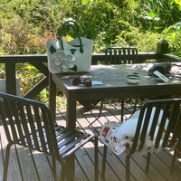 CODA ROSSA - テーブル確保