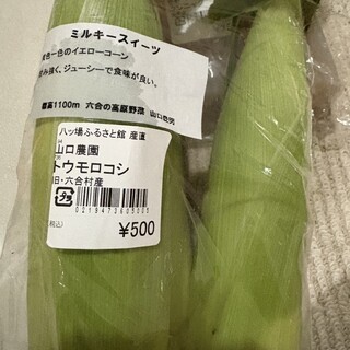 道の駅 八ッ場ふるさと館_1