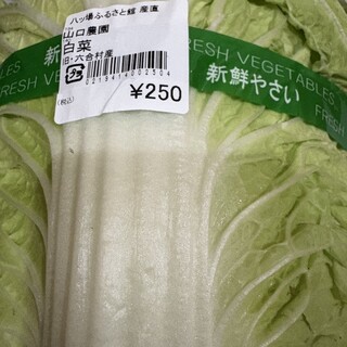 道の駅 八ッ場ふるさと館_0