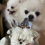 ピネード 植田店 - 