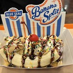 ブルーシール - 