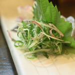 大納言本家 - 刺身に付くつま物にも拘りを感じますね