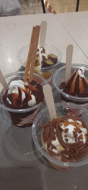 Sugakiya Komaki Ion Ten photo 4