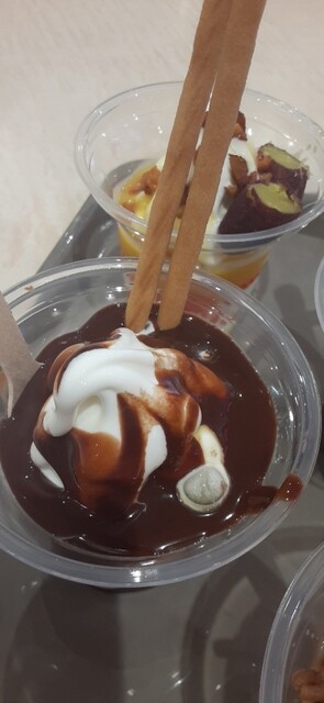 Sugakiya Komaki Ion Ten photo 5