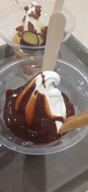 Sugakiya Komaki Ion Ten