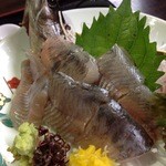 Live rockfish sashimi
