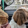 スイーツ ショップ ドルチェ - 