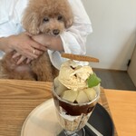107cafe+dogs - 