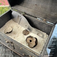 アルティザン ドゥ ラ トリュフ パリ -  アルティザン ドゥ ラ トリュフ パリ -