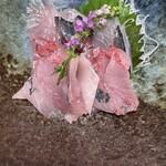 すし処京丸 本店 - 