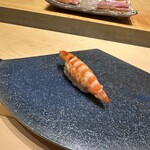 鮨 いわ貴 - 車海老