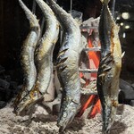 魚酎 - 