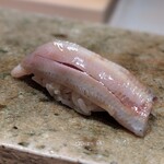 神田錦町 鮨たか晴 - 鰯